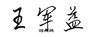 骆恒光王军益行书个性签名怎么写
