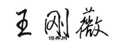 骆恒光王刚薇行书个性签名怎么写