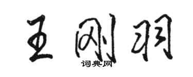 骆恒光王刚羽行书个性签名怎么写