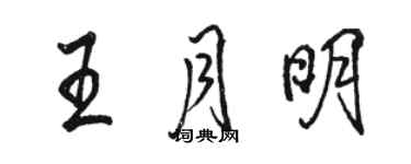 骆恒光王月明行书个性签名怎么写
