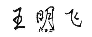 骆恒光王明飞行书个性签名怎么写