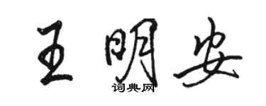 骆恒光王明安行书个性签名怎么写