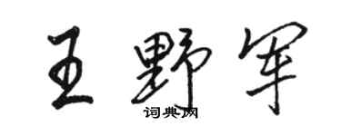 骆恒光王野军行书个性签名怎么写