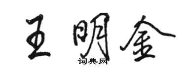 骆恒光王明金行书个性签名怎么写
