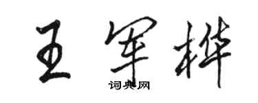 骆恒光王军桦行书个性签名怎么写
