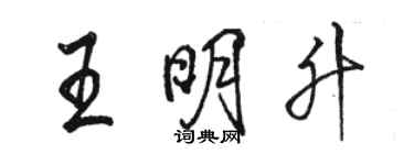 骆恒光王明升行书个性签名怎么写