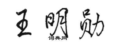 骆恒光王明勋行书个性签名怎么写