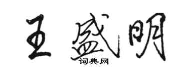 骆恒光王盛明行书个性签名怎么写