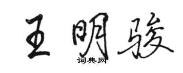 骆恒光王明骏行书个性签名怎么写