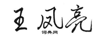骆恒光王凤亮行书个性签名怎么写