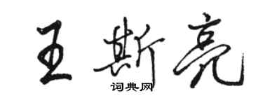 骆恒光王斯亮行书个性签名怎么写