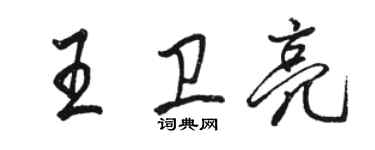 骆恒光王卫亮行书个性签名怎么写