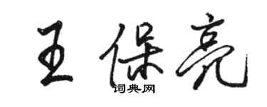骆恒光王保亮行书个性签名怎么写