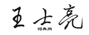 骆恒光王士亮行书个性签名怎么写