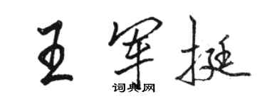 骆恒光王军挺行书个性签名怎么写