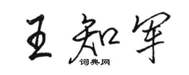 骆恒光王知军行书个性签名怎么写