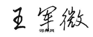 骆恒光王军微行书个性签名怎么写