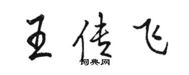 骆恒光王传飞行书个性签名怎么写