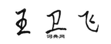 骆恒光王卫飞行书个性签名怎么写