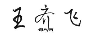 骆恒光王齐飞行书个性签名怎么写