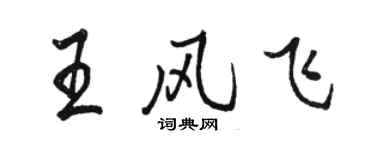 骆恒光王风飞行书个性签名怎么写