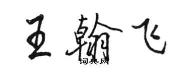 骆恒光王翰飞行书个性签名怎么写