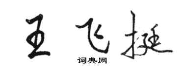 骆恒光王飞挺行书个性签名怎么写