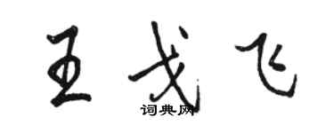 骆恒光王戈飞行书个性签名怎么写