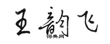 骆恒光王韵飞行书个性签名怎么写