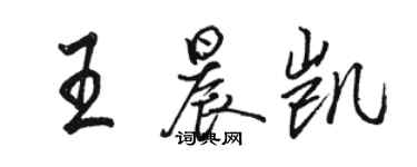 骆恒光王晨凯行书个性签名怎么写