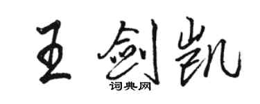 骆恒光王剑凯行书个性签名怎么写