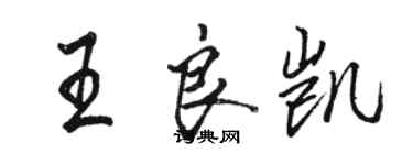 骆恒光王良凯行书个性签名怎么写