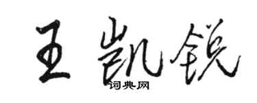 骆恒光王凯锐行书个性签名怎么写