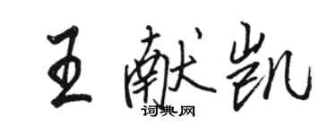 骆恒光王献凯行书个性签名怎么写