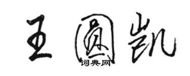 骆恒光王圆凯行书个性签名怎么写
