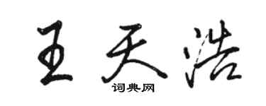骆恒光王天浩行书个性签名怎么写