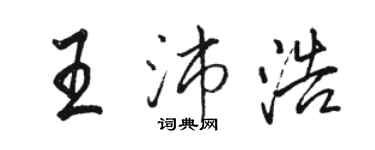 骆恒光王沛浩行书个性签名怎么写