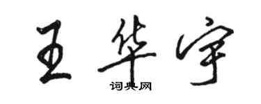 骆恒光王华宇行书个性签名怎么写