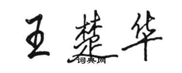 骆恒光王楚华行书个性签名怎么写