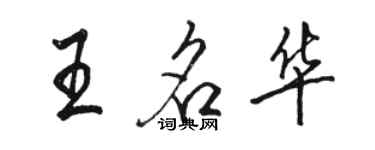 骆恒光王名华行书个性签名怎么写