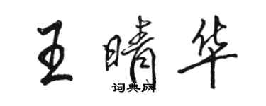骆恒光王晴华行书个性签名怎么写