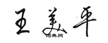 骆恒光王美平行书个性签名怎么写