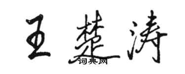 骆恒光王楚涛行书个性签名怎么写