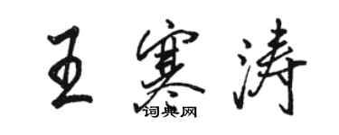 骆恒光王寒涛行书个性签名怎么写