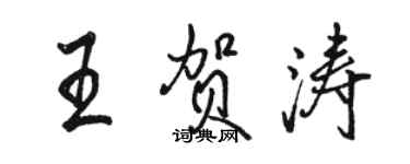 骆恒光王贺涛行书个性签名怎么写