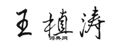 骆恒光王植涛行书个性签名怎么写