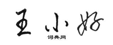 骆恒光王小好行书个性签名怎么写
