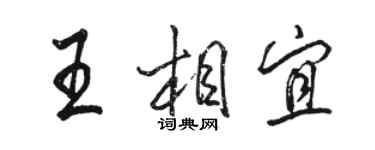 骆恒光王相宜行书个性签名怎么写