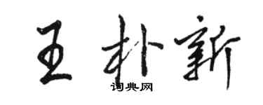 骆恒光王朴新行书个性签名怎么写