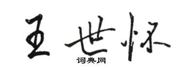 骆恒光王世怀行书个性签名怎么写